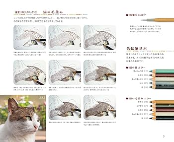猫の絵　シリーズ扉その② 目隠し猫と2匹のねずみ 茶トラ猫 ネコ雑貨 ねこ かくれんぼ