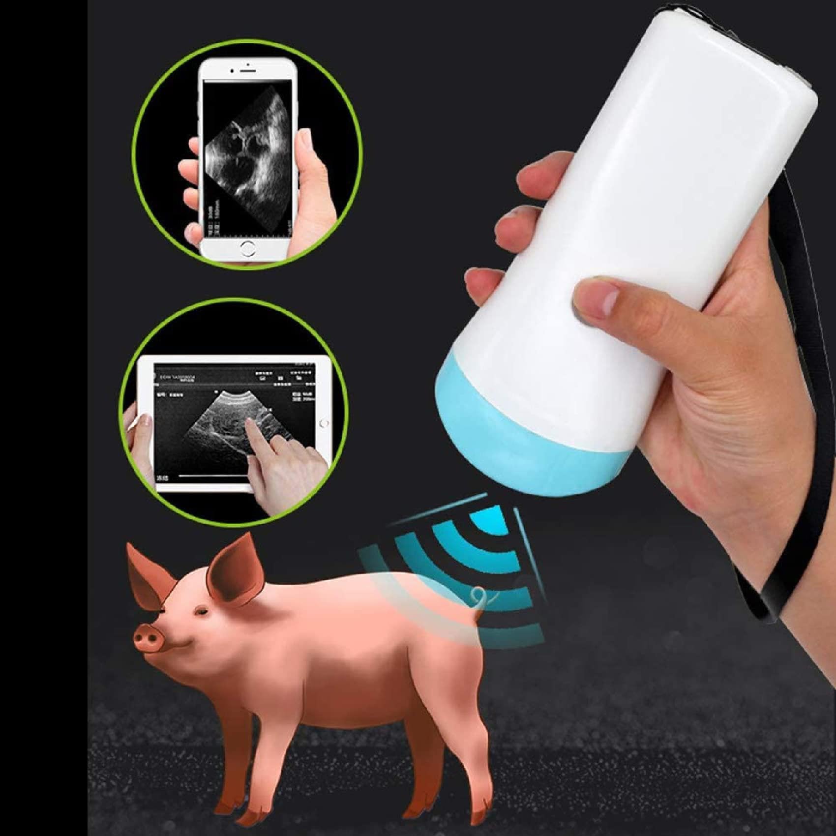 Scanner Portatile Wireless a ultrasuoni, sonda per Strumenti diagnostici di Gravidanza veterinaria, Smartphone compatibili, Tablet, per suini e Ovini