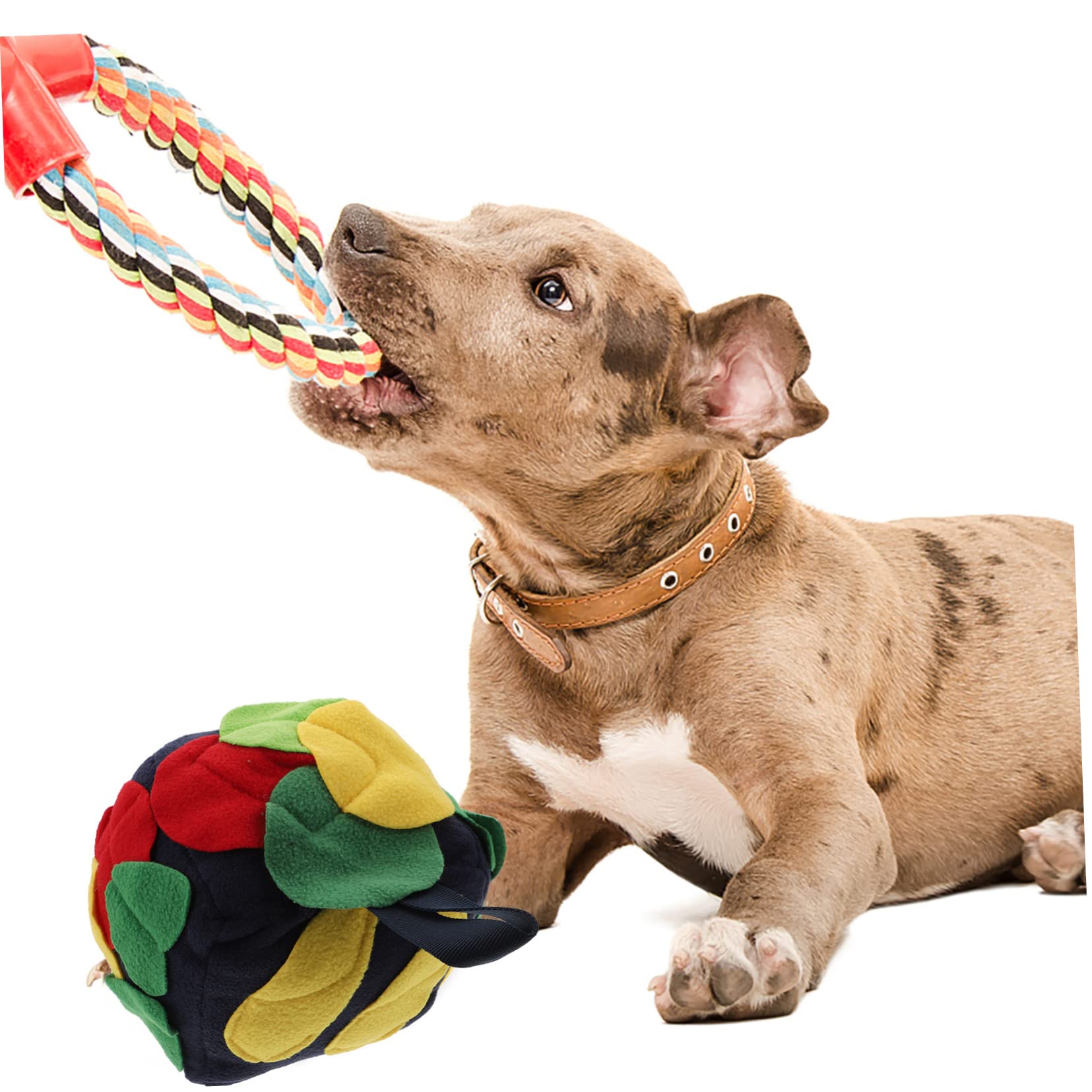 Didiseaon 2pezzi Palla Interattiva Per Cani Gioco Di Foraggiamento Con Tappetino Olfattivo Stimola Attività Mentale e Rallenta Ritmo Di Nutrizione Vintage