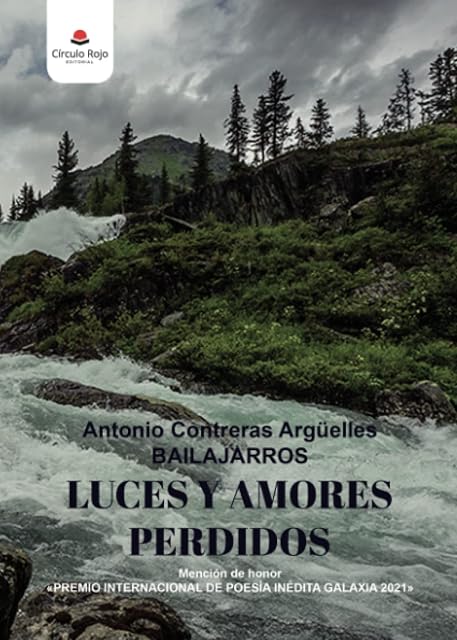 Portada de Luces y amores perdidos