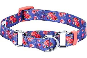 Blueberry Pet Flower Power Collection Spring Scent-Inspired Rose Print Martingale Safety Training Dog Collar