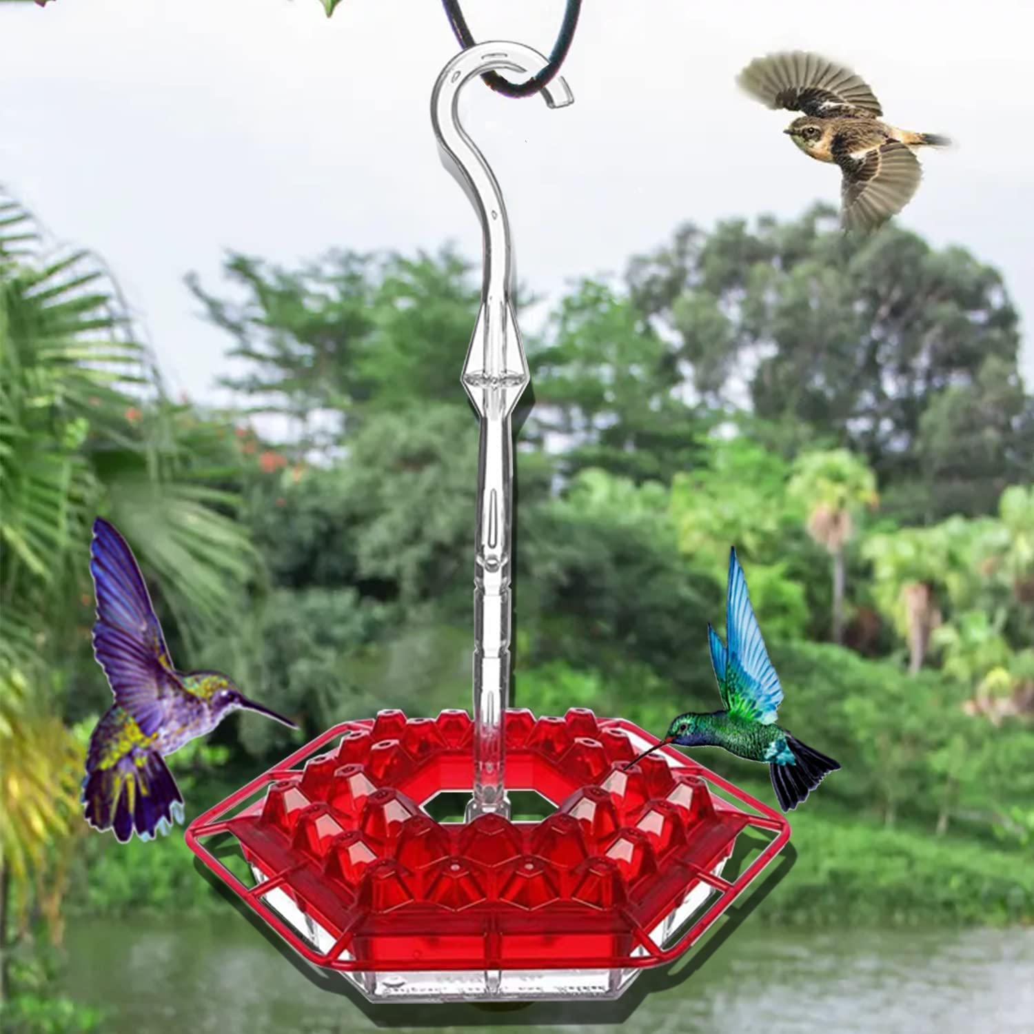 10 Mary's Hummingbird Feeders Attract More Hummingbirds to Your Garden