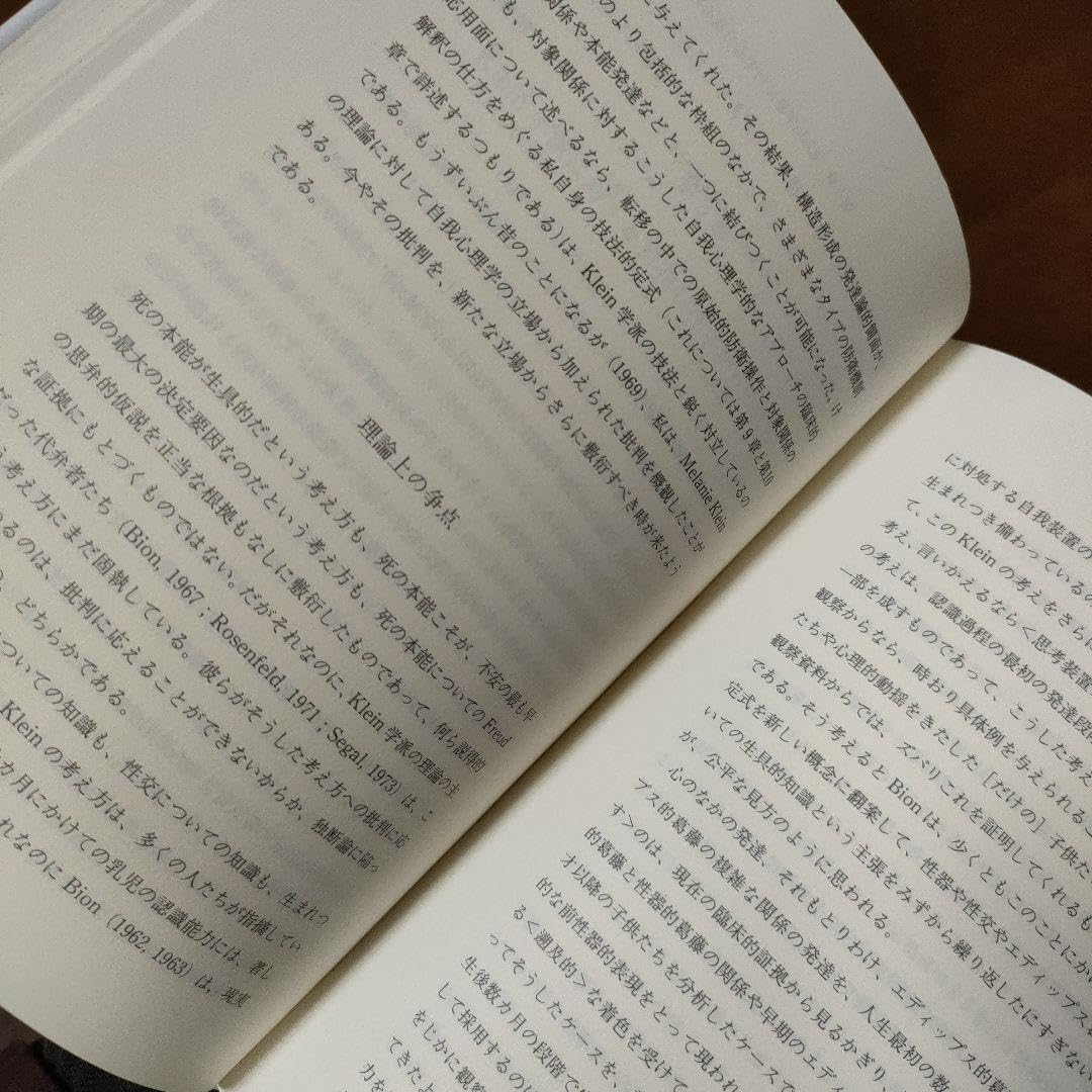 Amazon.co.jp: 内的世界と外的現実(上) オットーF. カーンバーグ山口