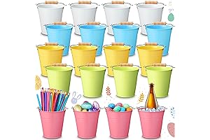 Hushee 20 Pack Mini Metal Buckets with Handle