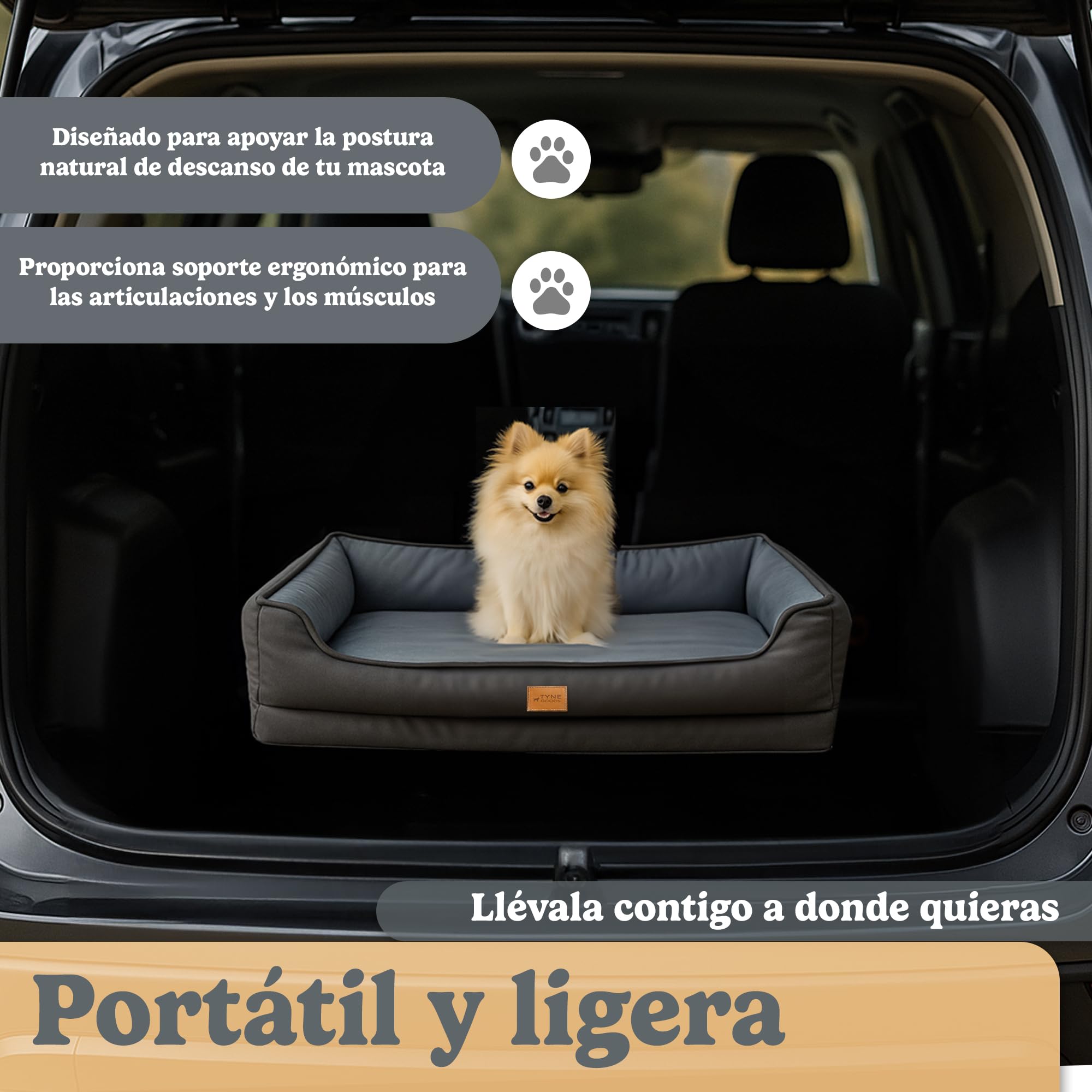 Cama Ortopédica para Perros y Gatos, Colchón Ergonómico para Articulaciones, desenfundable, lavable y antideslizante, Manta, s m l