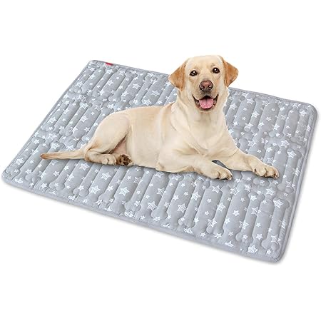 Dog crate liner pad Clearance