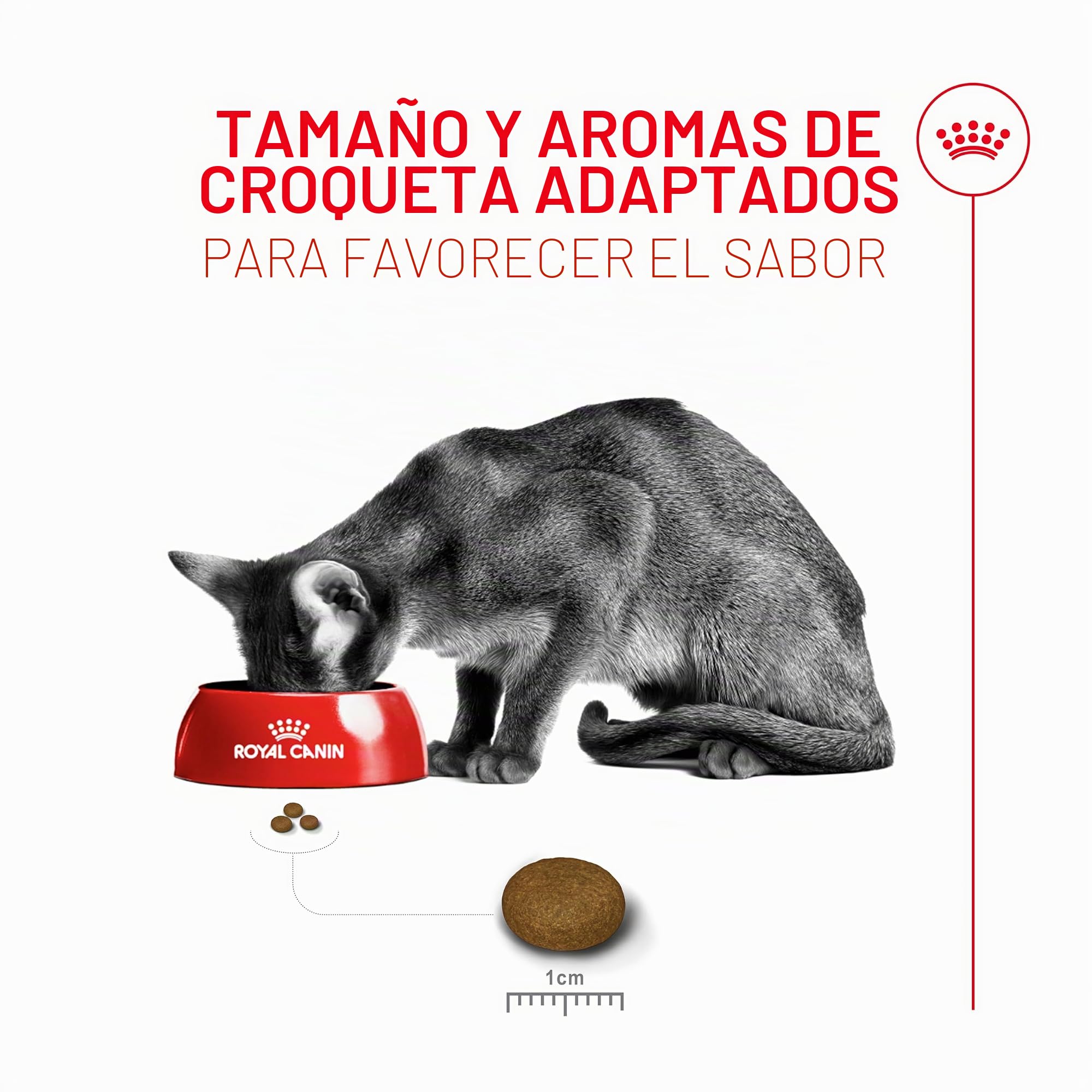 Royal Fussy Exigent PIENSO Gato Adulto 1X10KG