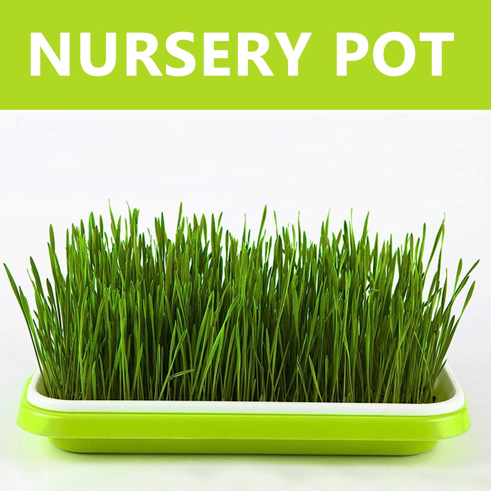 ZOENHOU Lot de 10 plateaux de germination de graines avec couvercles, 33,5 x 25 x 10 cm, plateaux de germination hydroponique, pour germination de germination de serre, herbe de blé, micropousses
