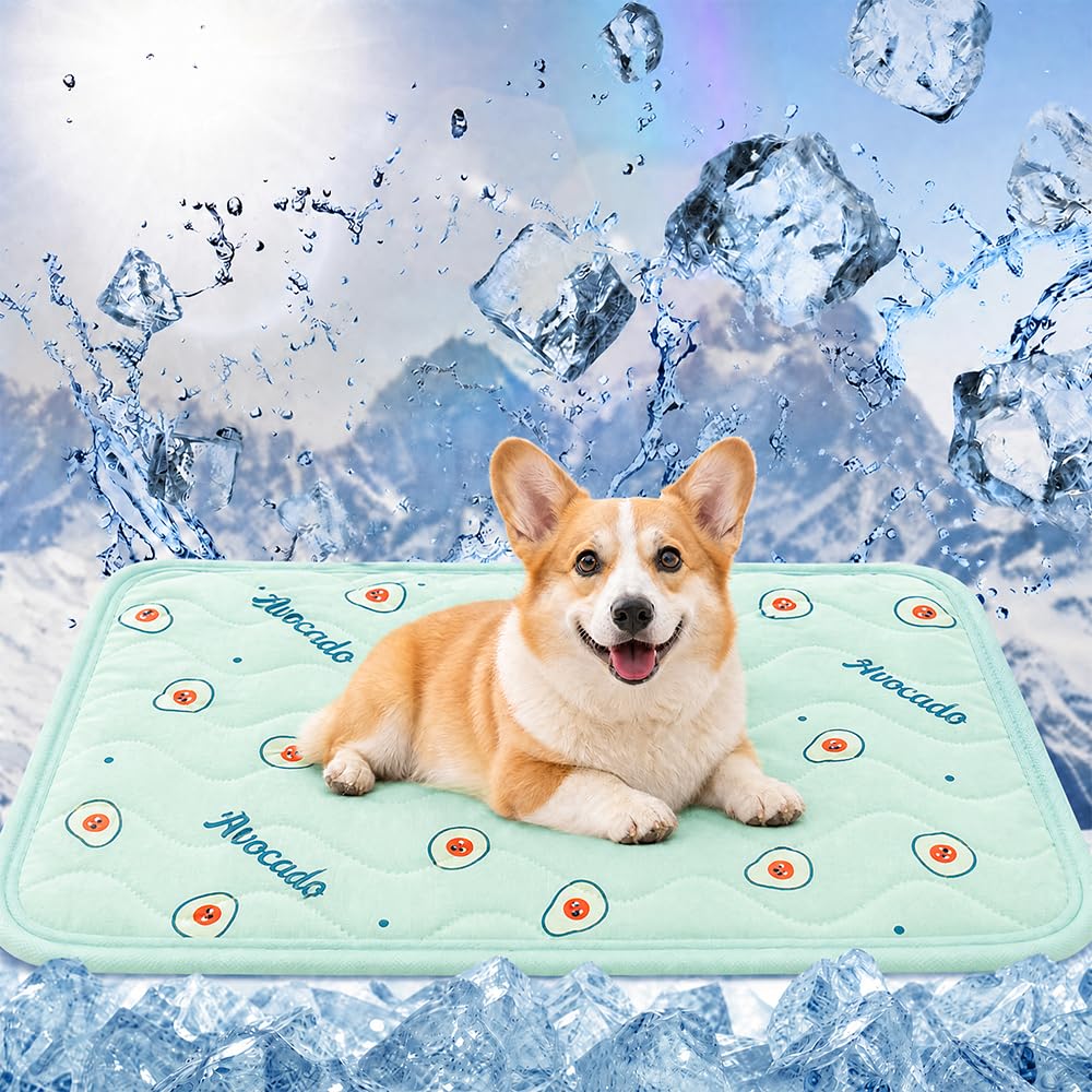 Vervora Washable Dog Cooling Mat 62x50cm, Pet Cool Pad for Small Dogs & Cats, Summer Heat Relief Breathable Blanket for Puppy Crate Bed Sofa Floor, Cute Fruit Pattern (Green Avocado, M)