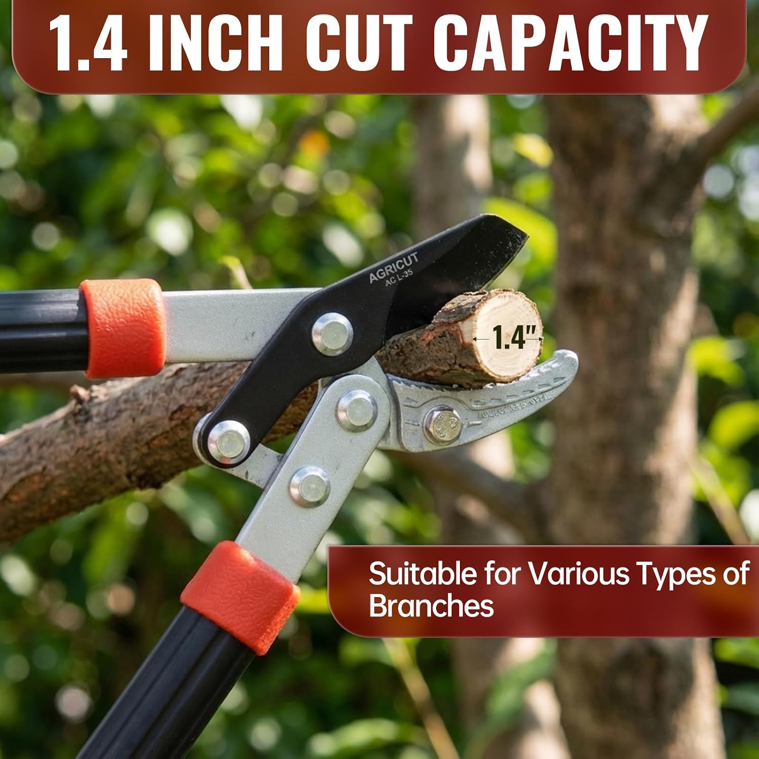 AGRICUT 21" Garden Loppers Anvil - Loppers for Tree Trimming Heavy duty 1.5" Cut Capacity Branch Cutter with Sharp High Carbon Steel Blade for Cutting Branches