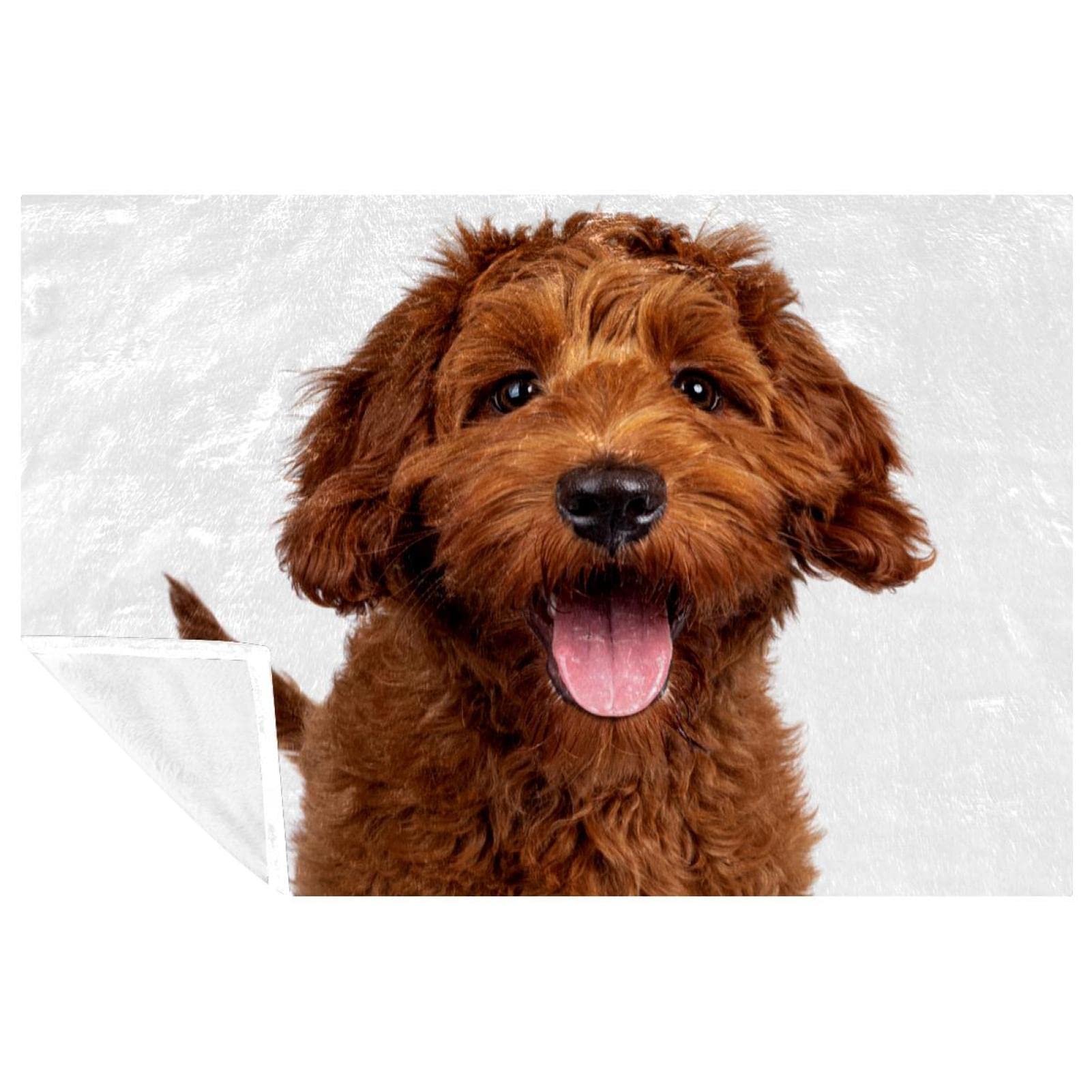 Couverture douce Labradoodle rouge idéale pour pique-nique et camping