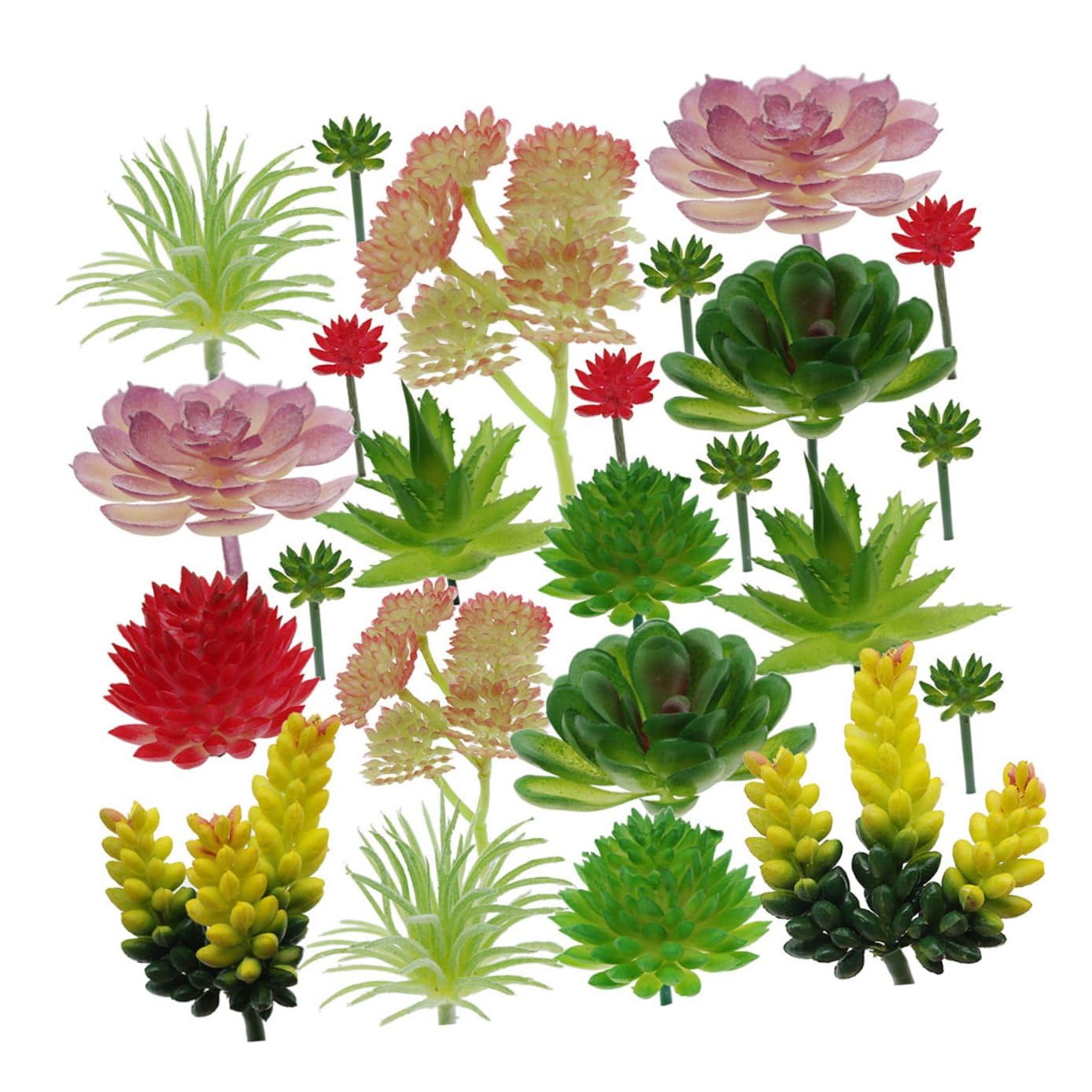 Plantes grasses artificielles et détails réalistes Alipis pour arrangement floral