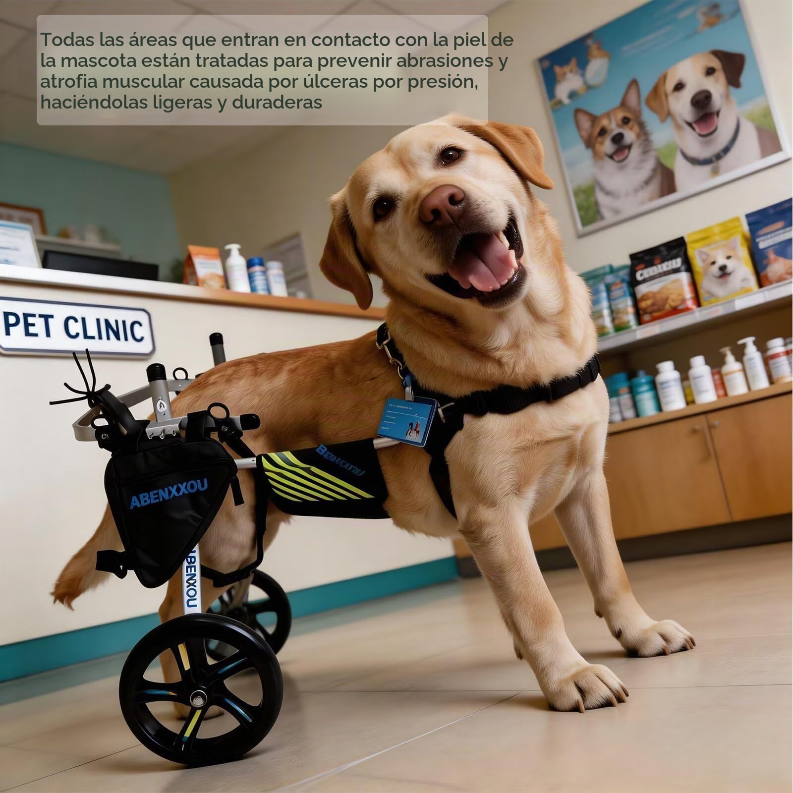 Silla de Ruedas para Perros Mediana y Grande, silla de ruedas para perros para patas traseras, ajustable ayuda silla ruedas perro mascotas (M)