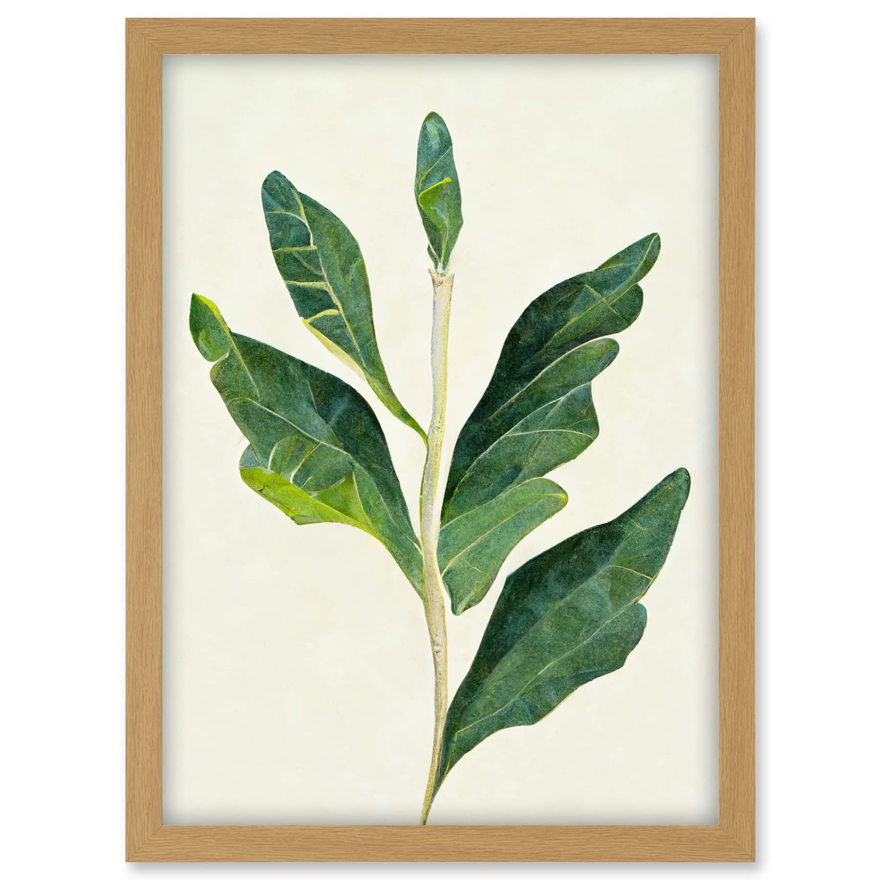 Doppelganger33 LTD Detail Of Rubber Fig Plant Botanical Illustration Artwork Framed A3 Wall Art Print