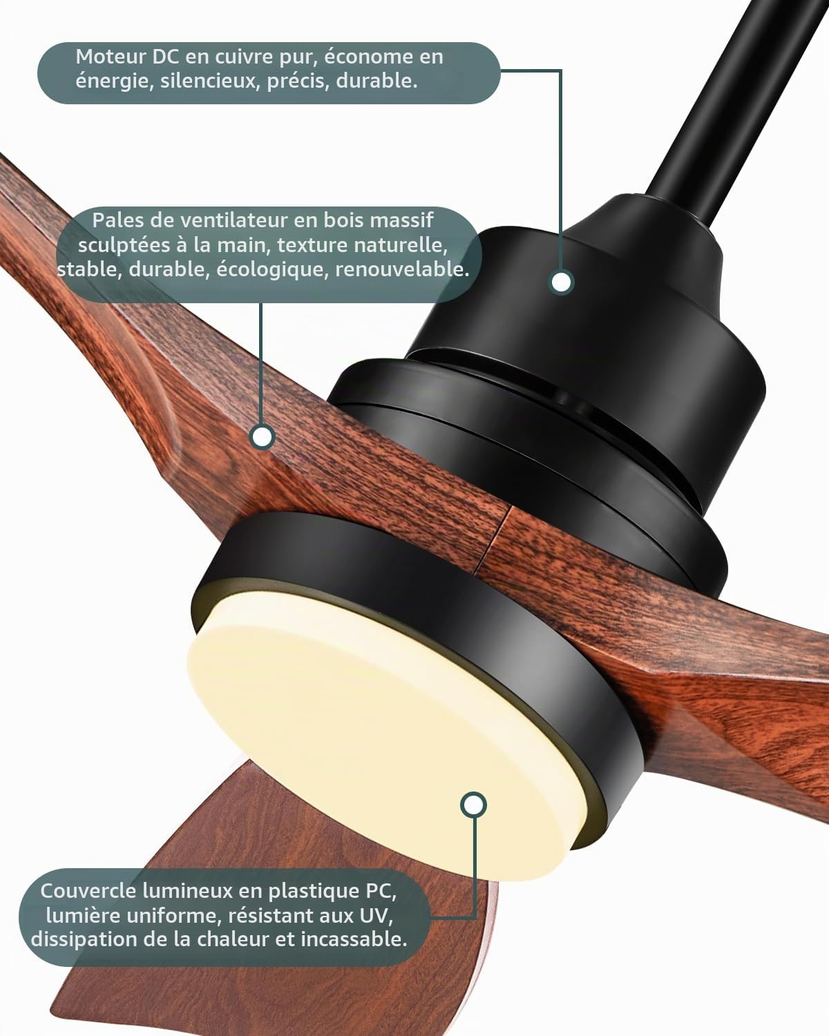 Ventilateur de plafond avec lumière et commande moteur CC silencieux 3