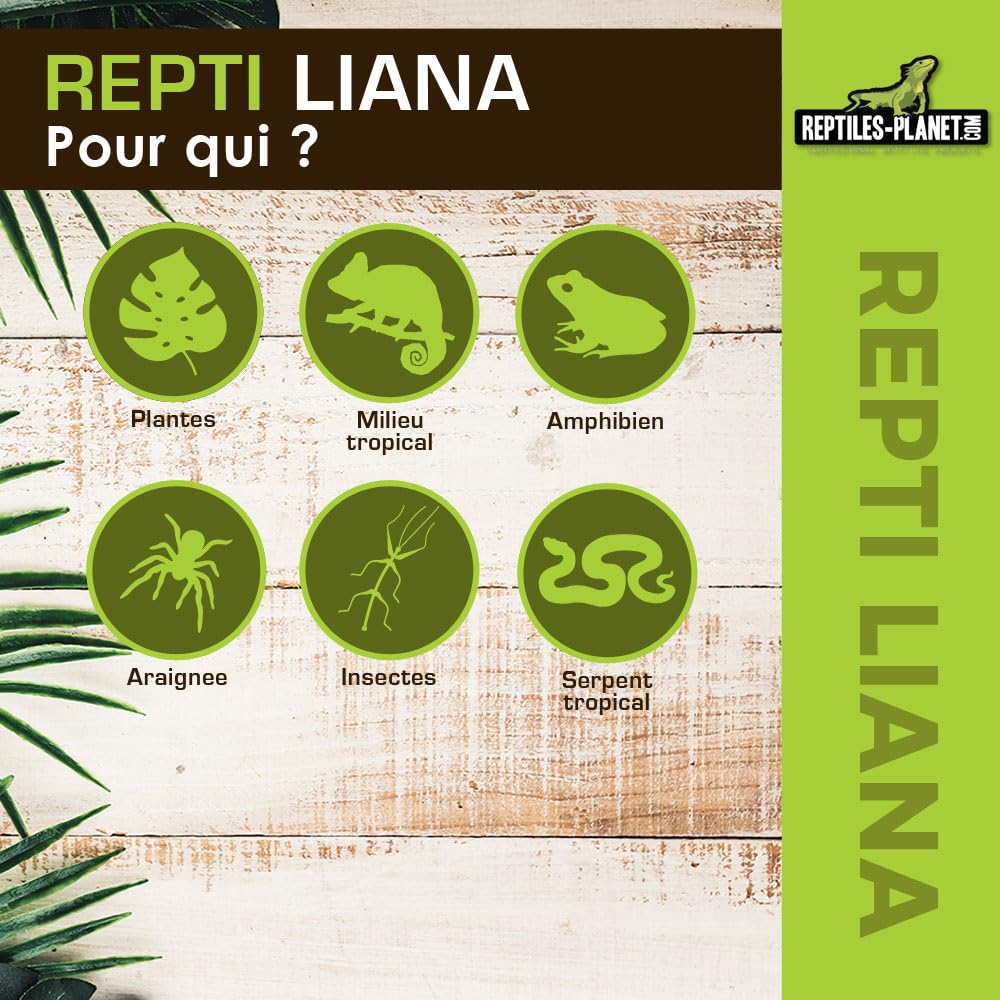 REPTILES PLANET - Repti Liana - Décoration pour Terrarium - 125 cm