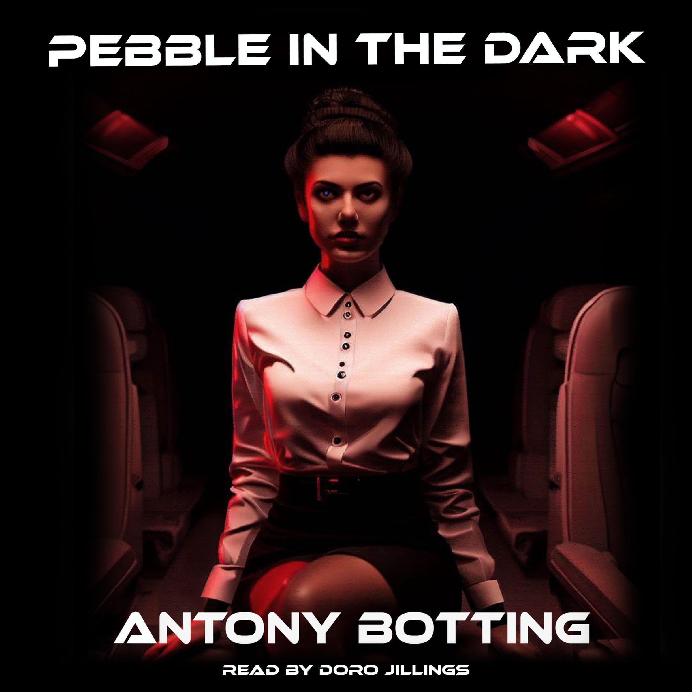 Cover art for Pebble in the Dark