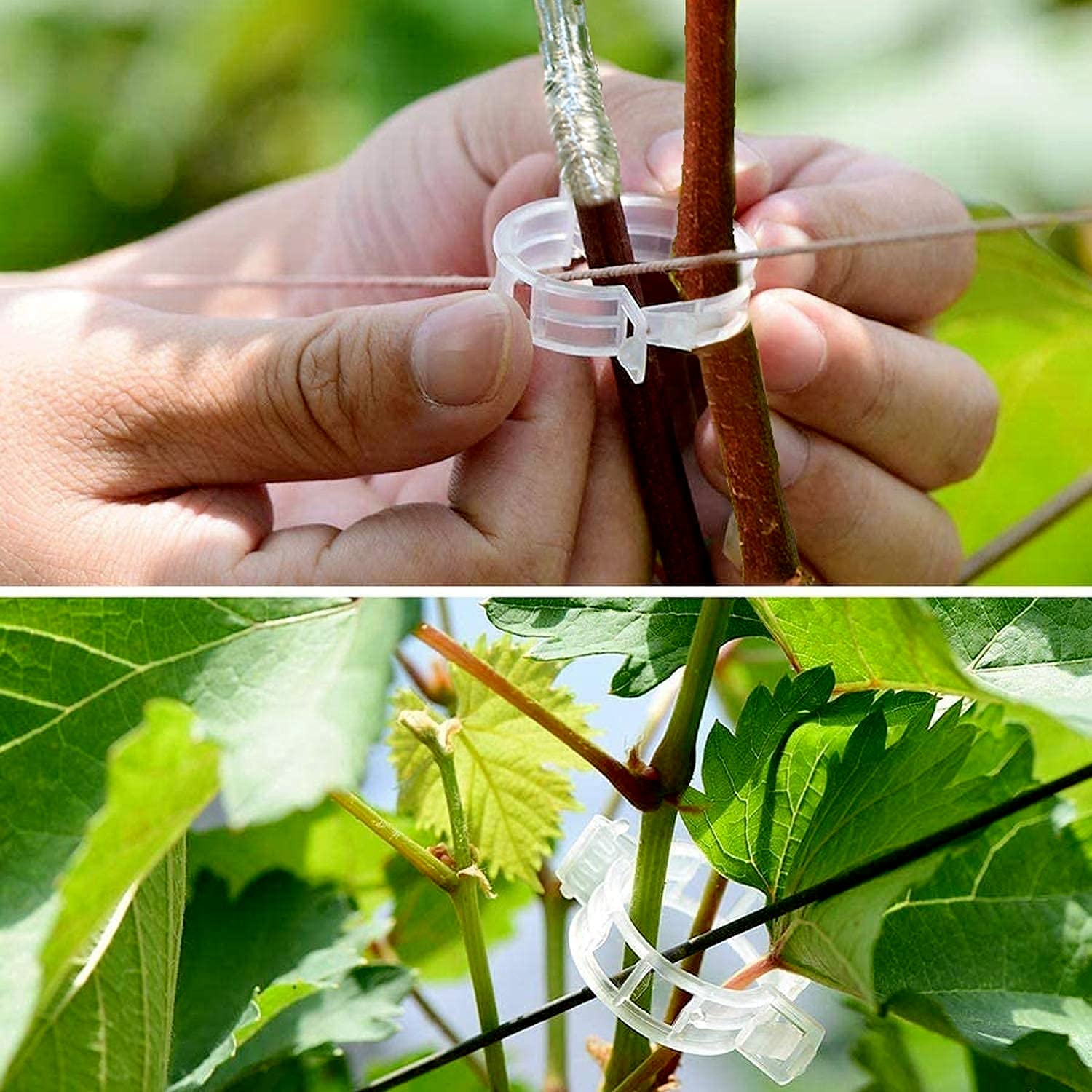 Strumento di innesto,Giardino Potatore Set Tra Cui Lame di Ricambio,Innesto Coltello,Innesto Nastri,pianta Etichette e Giardino Clip,Perfetto per Alberi da Frutto Innesto,Attrezzi da giardinaggio