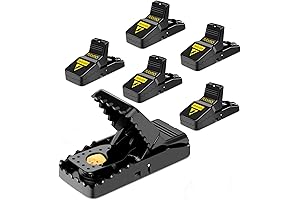 Mouse Trap That Works: Humane Mouse Trap for Small Mice, 6 Pack...