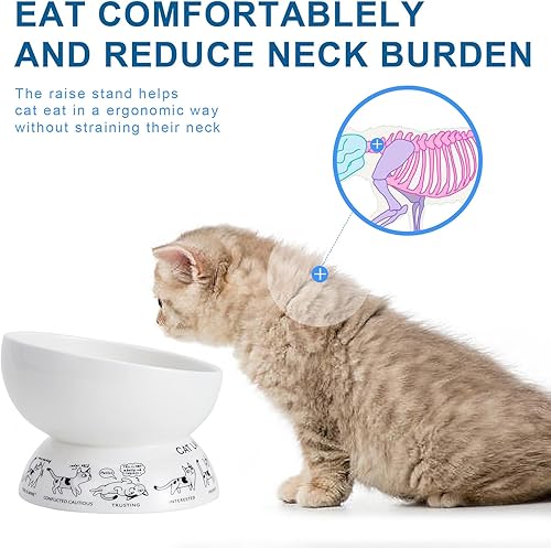 Miniatura 4 de Cuenco elevado para comida para gatos con alfombrilla de silicona, verde, cerámica, 5.9 pulgadas de ancho, 1.2 pulgadas de profundidad