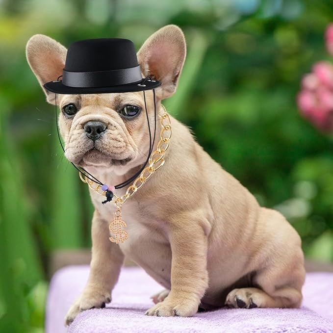 Sombrero de Copa Formal para Mascotas con Cadena, 2 Piezas, Negro y Dorado miniatura 5