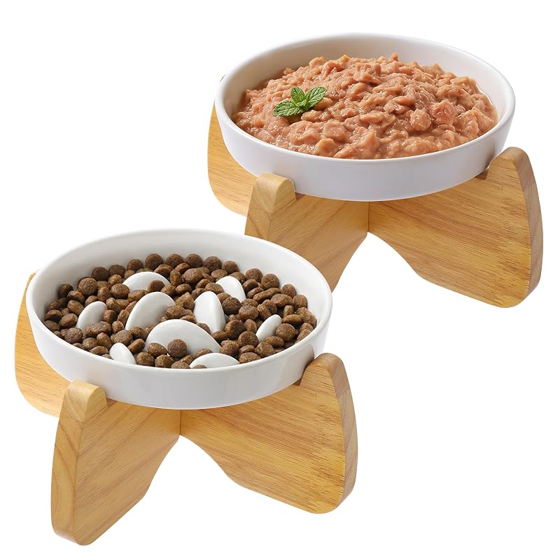 Comedouro lento para gatos de cerâmica com suporte elevado GUWINA, conjunto com 2