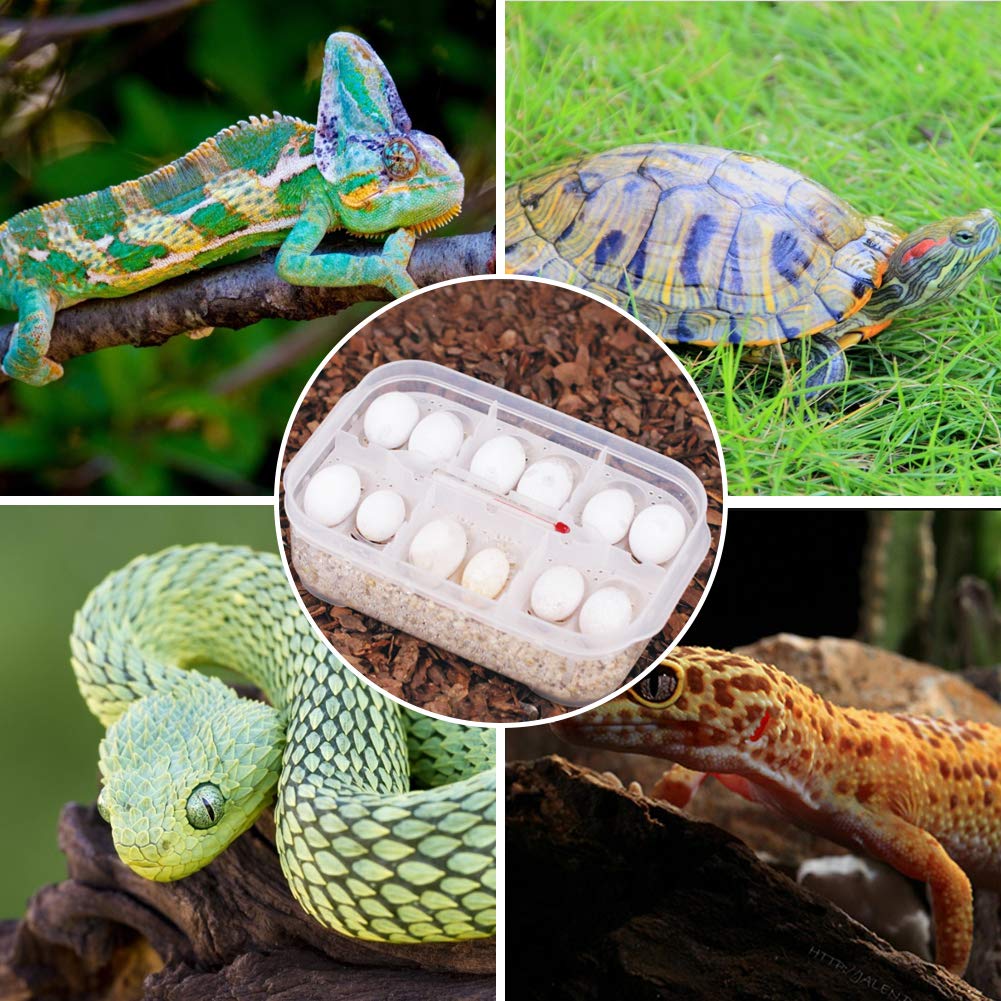 Reptielen-incubator,