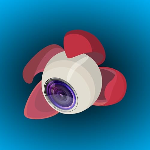 Litchi for DJI drones