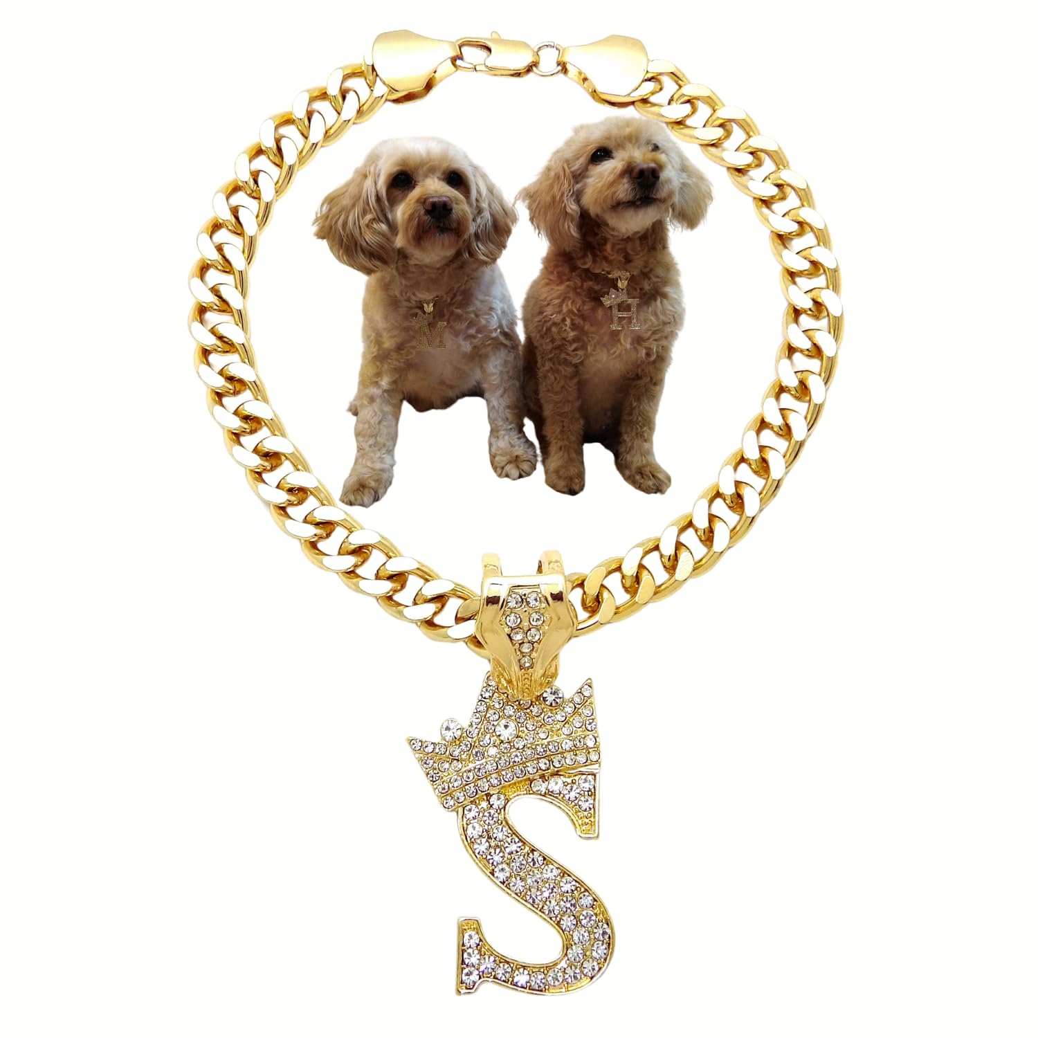 Collar para mascotas exclusivo con eslabón cubano y colgante de letra S