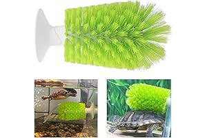 Turtle Scratcher Brush for Shell Exfoliation