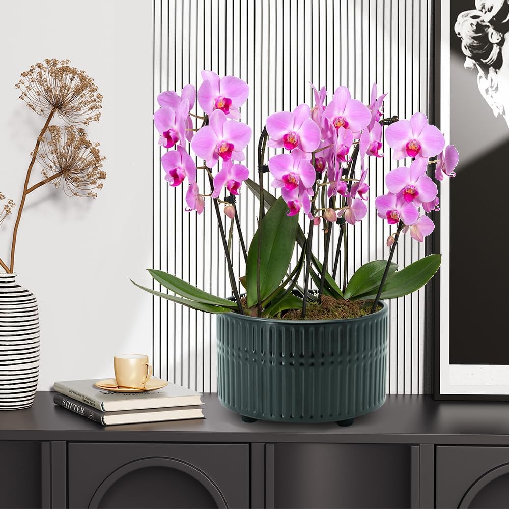 6.5+8 Inch Succulent Pots, Ceramic Planters with Drainage Hole, Set of 2 Modern Fluted Stripe Design Indoor Planters, Gifts for Women, Black