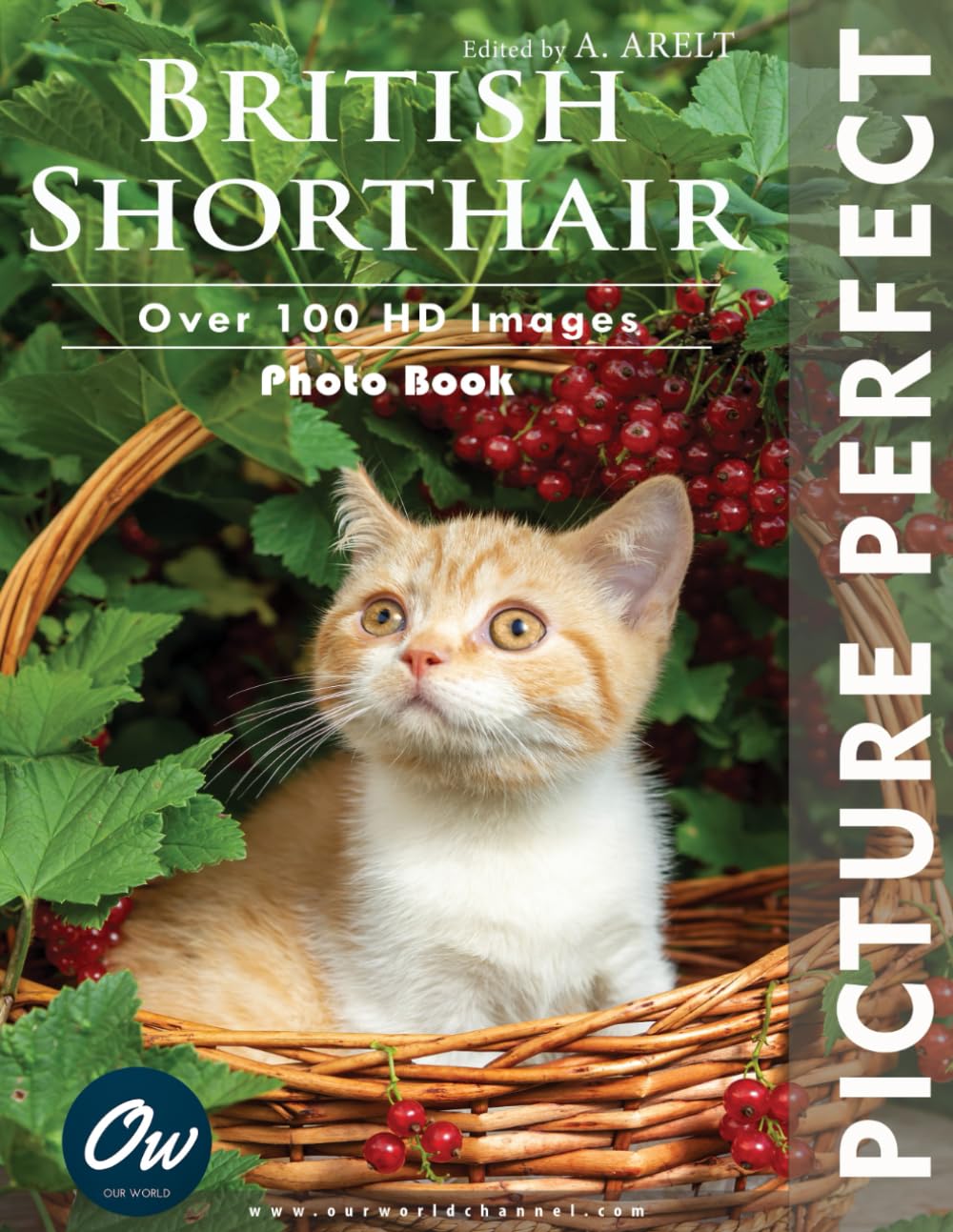 British Shorthair: Picture Perfect Photo Book