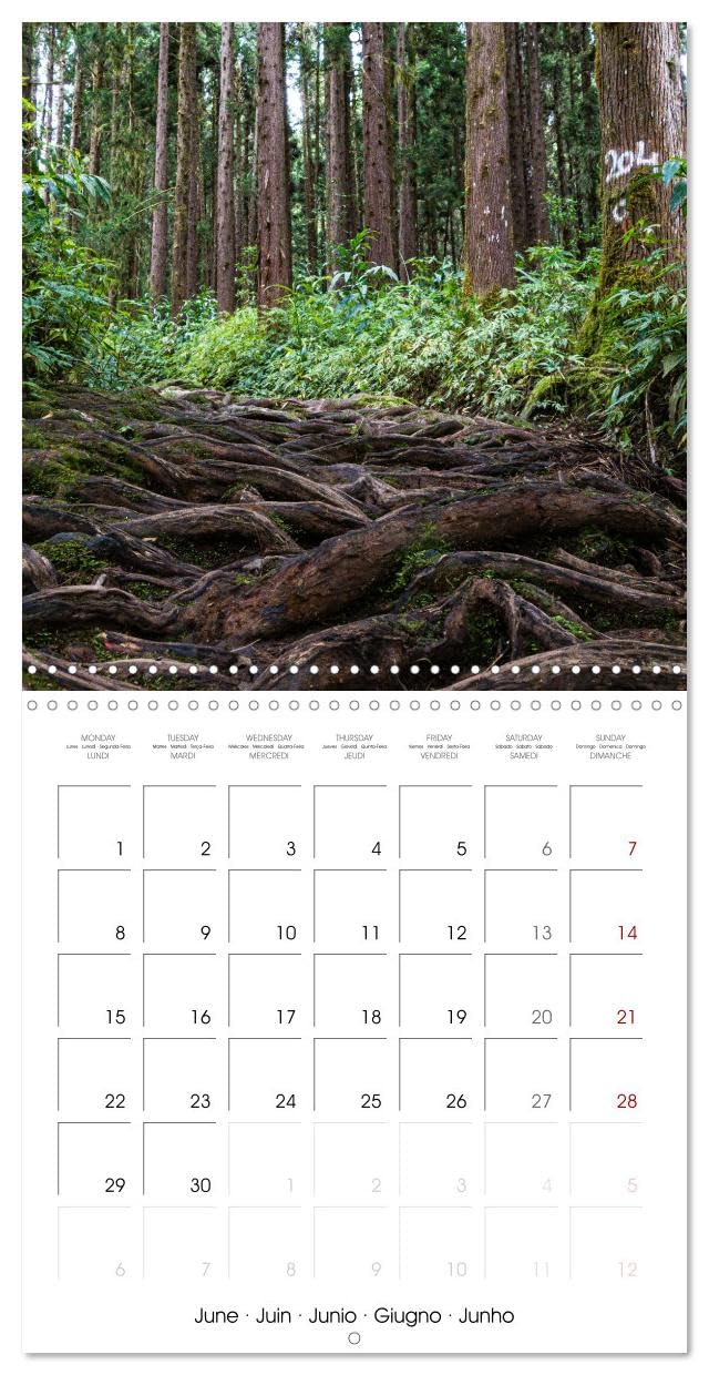 L'ile de la Réunion, un volcan au milieu de l'océan Indien (Calendrier mural carré 2026 30x30 cm) Calendrier double avec une page pour vos prises de notes: Les merveilles de l'île de la Réunion