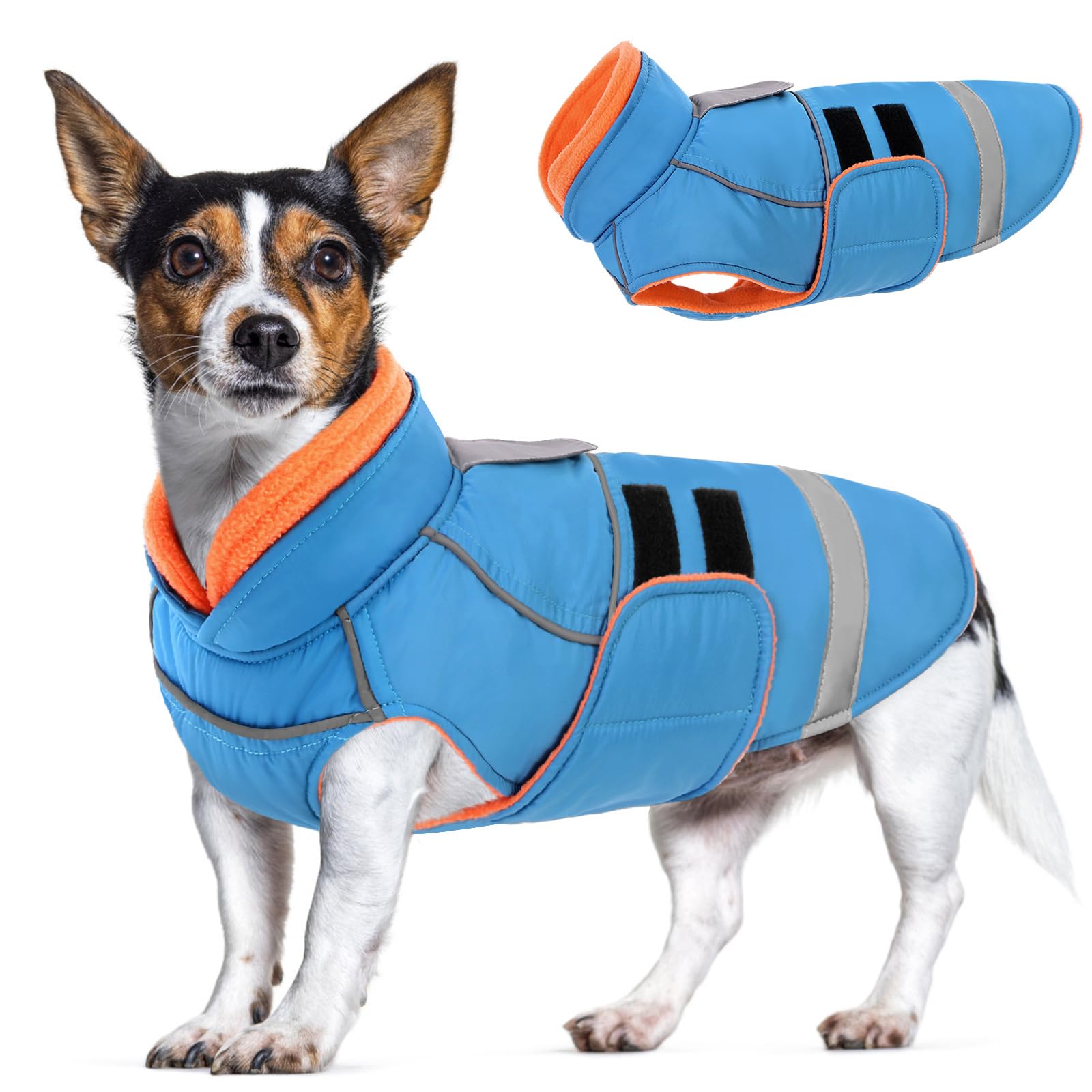 Hondenjack Warm Winddicht CITÉTOILE Winterjas Voor Honden - Waterdicht, Met Geïntegreerd Harnas, Fleece Gevoerd, Reflecterend (Maat L, Groen) Fleece Gevoerde Hondenjas Warm