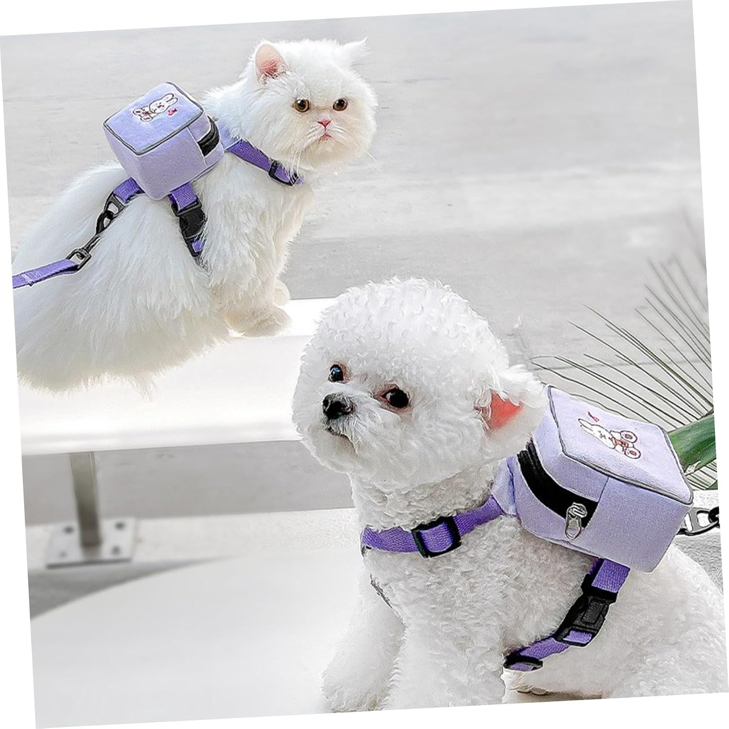 Cat Vest Leash Backpack Harness with Comfortable Hanging Rope Purple | Polyester Build, Hand Control and Ergonomic Wear, for Pet Training and Outings, Suitable 1.5 to 3.5kg