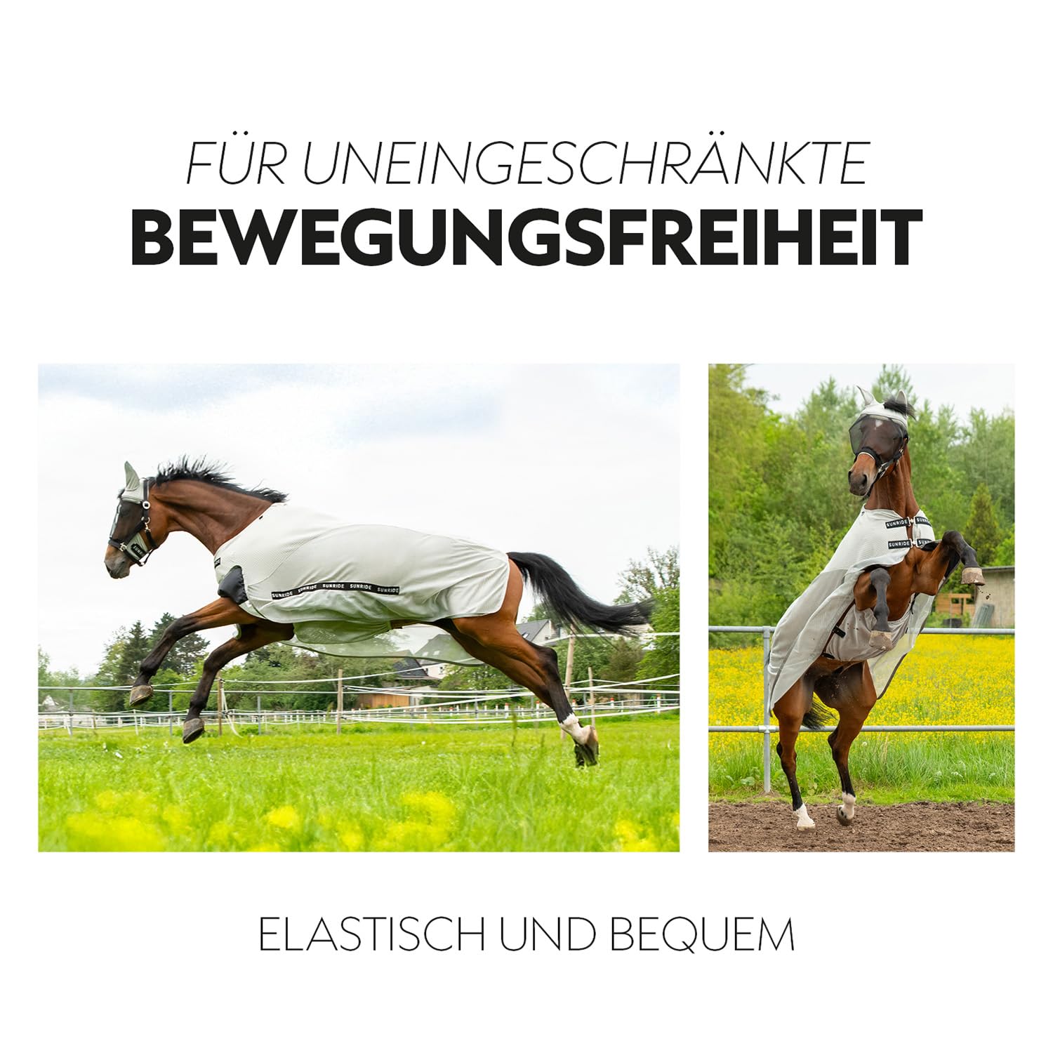 SUNRIDE Transportdecke/Fliegendecke für Pferde (Dubai) - mit UV-Schutz - atmungsaktiv - Abnehmbarer Bauchlatz - maschinenwaschbar - mit abnehmbarem Halsteil - grau (145 cm)