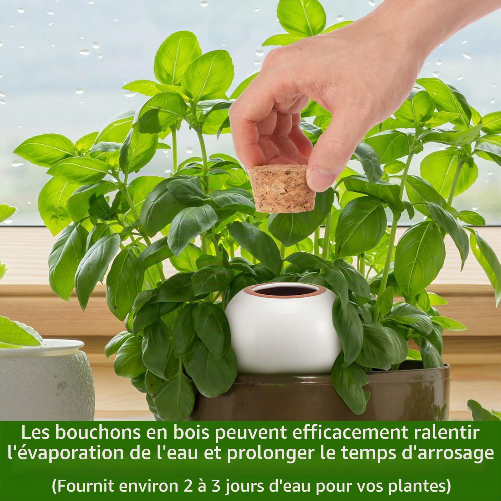 Lot de 4 globes d'arrosage pour plantes en terre cuite - 320 ml - À libération lente - Pour l'intérieur et l'extérieur - 8,2 x 8,2 x 14,23 cm