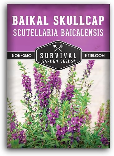 Survival Garden Seeds Baikal Chinese Skullcap (Scullcap) Semilla para plantar, 1 paquete con instrucciones para plantar y cultivar Scutellaria