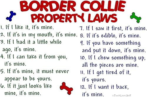 Miniatura 2 de CafePress Border Collie Property Laws 2 - Pegatina ovalada para parachoques de coche