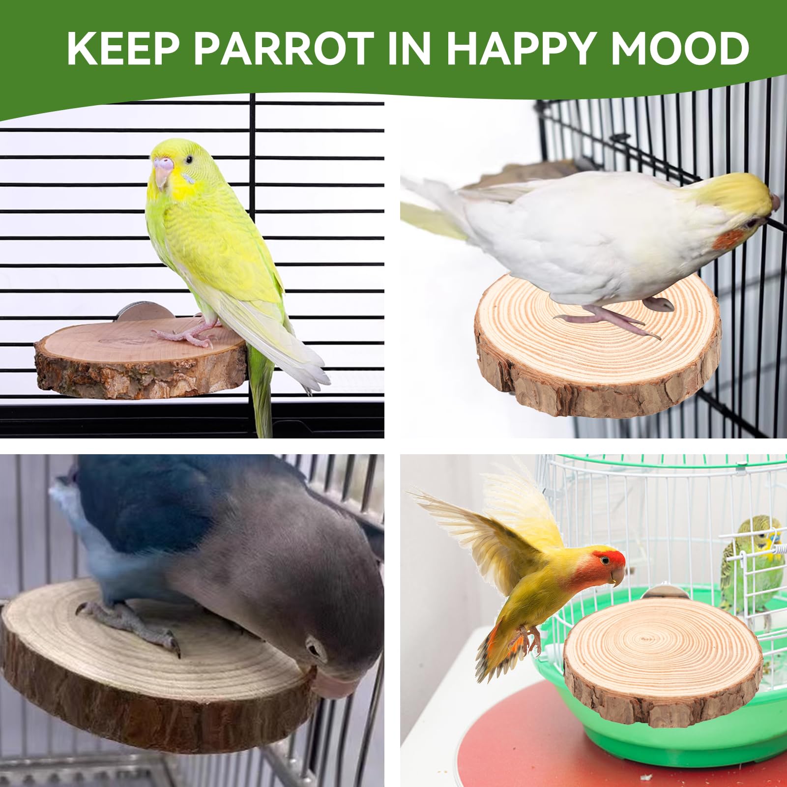 4-Pack Bird Perch Stand Platforms - Natural Wood Round Springboards For Budgies, Cockatiels & Small Birds