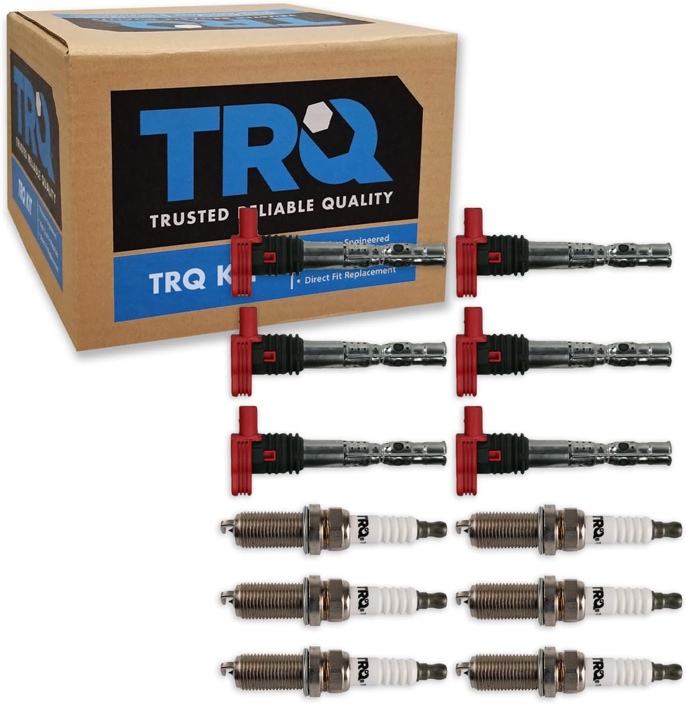 TRQ Ignition Coil and Spark Plug Kit 12 Piece Iridium Spark Plugs Compatible with 2002-2005 Audi A4 2002-2006 A4 Quattro