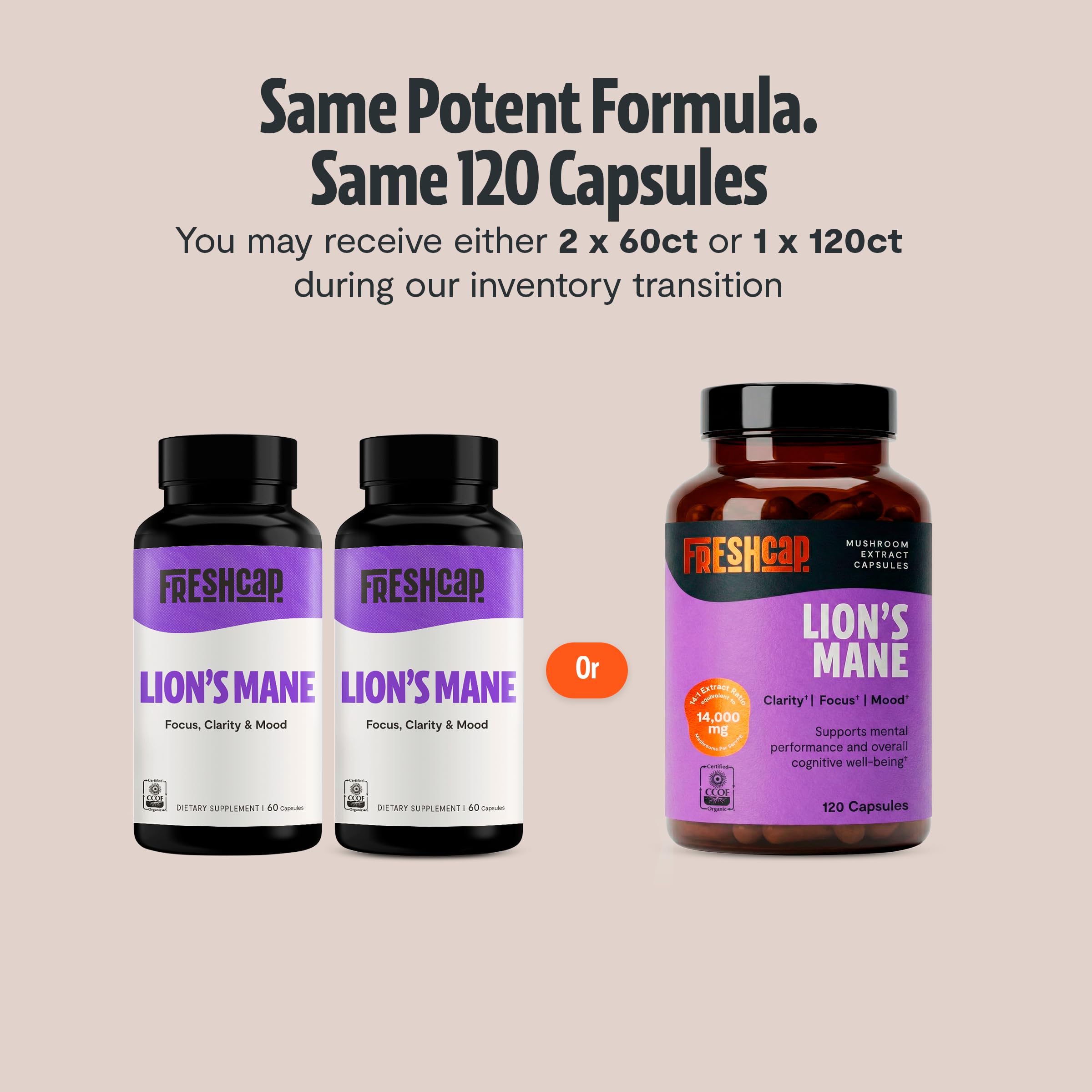 Freshcap Lions Mane Mushroom Supplement - Cognitive Support, 120 Capsules — Amazon image 2