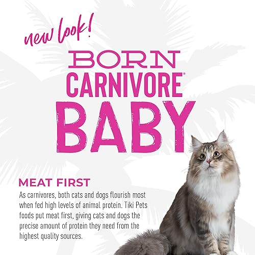 Miniatura 8 de Tiki Cat Born Carnivore Baby, alto en proteínas y sin granos, alimento seco completo y equilibrado para gatos para gatitos de 6 semanas en adelante,
