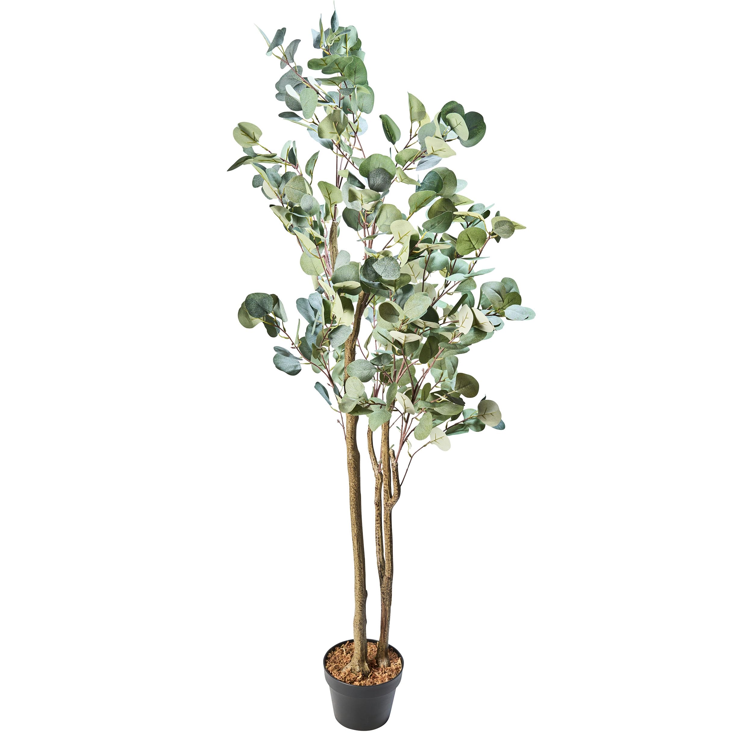AMARE Artificial Plant, Green, 150 cm
