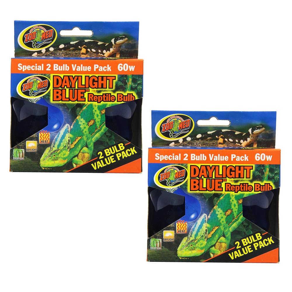 60 watt reptile bulb