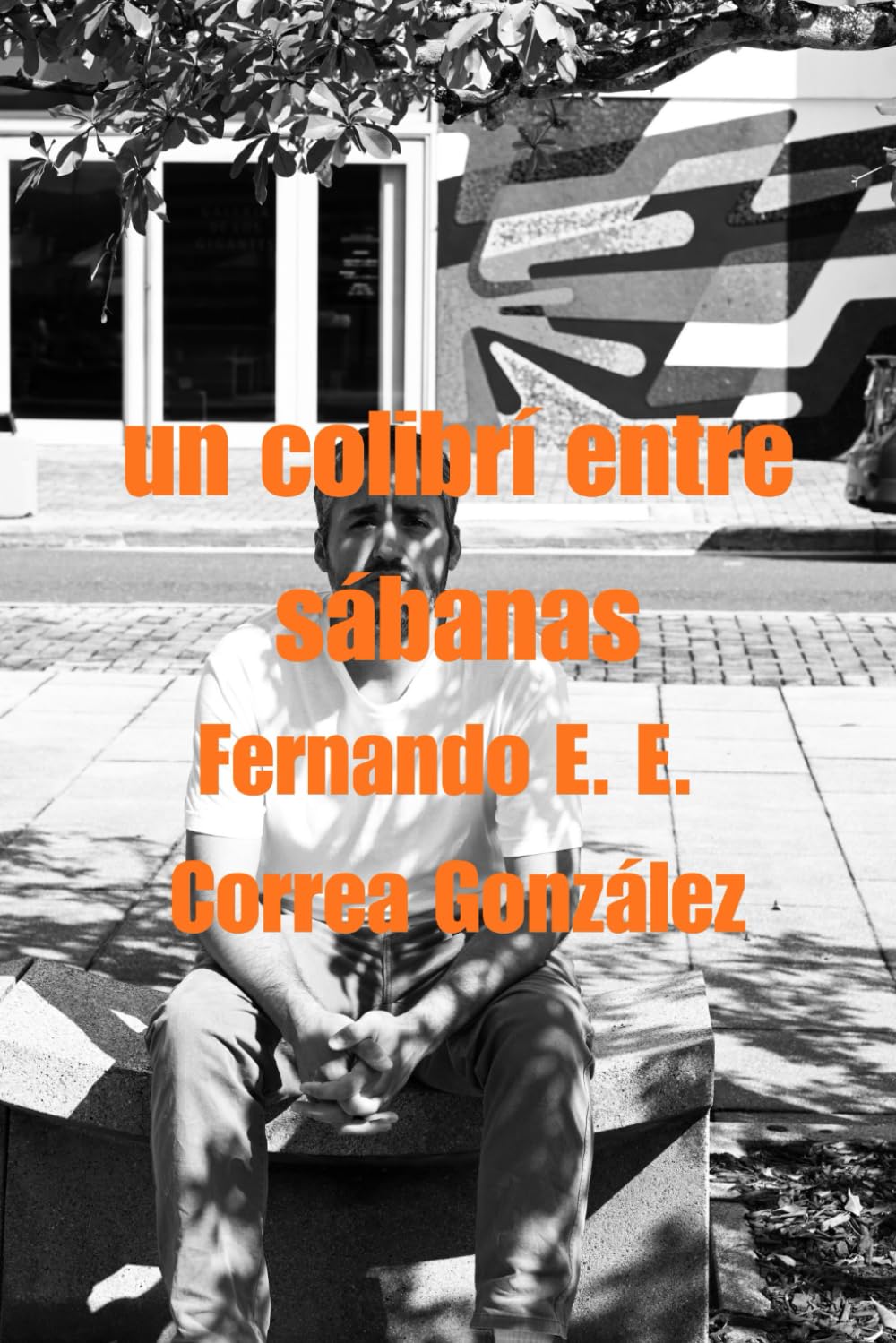 un colibrí entre sábanas (10 años)