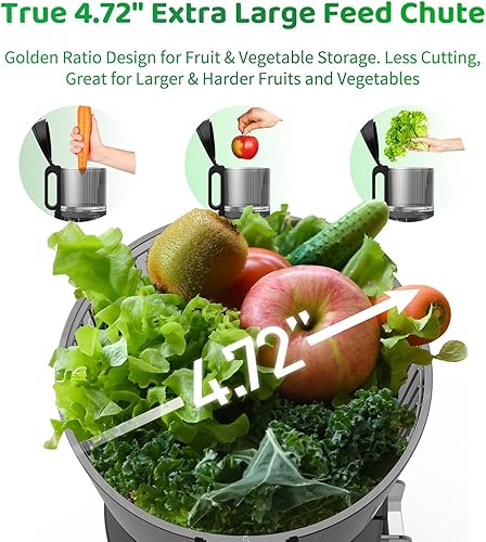 Miniatura 3 de WETIE Exprimidor de prensa en frío y máquina de helado de granizado y suave 2 en 1