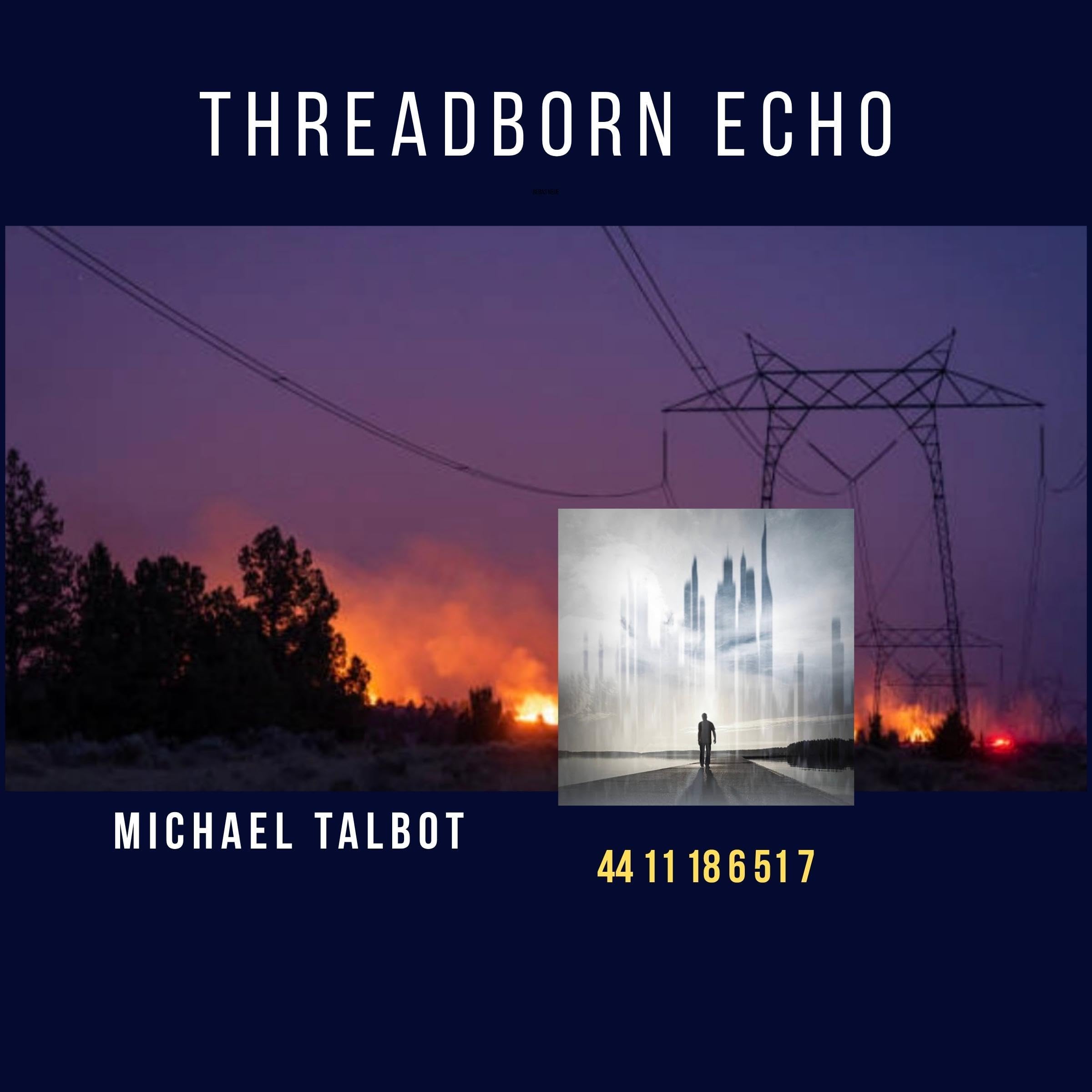 Cover art for Threadborn Echo