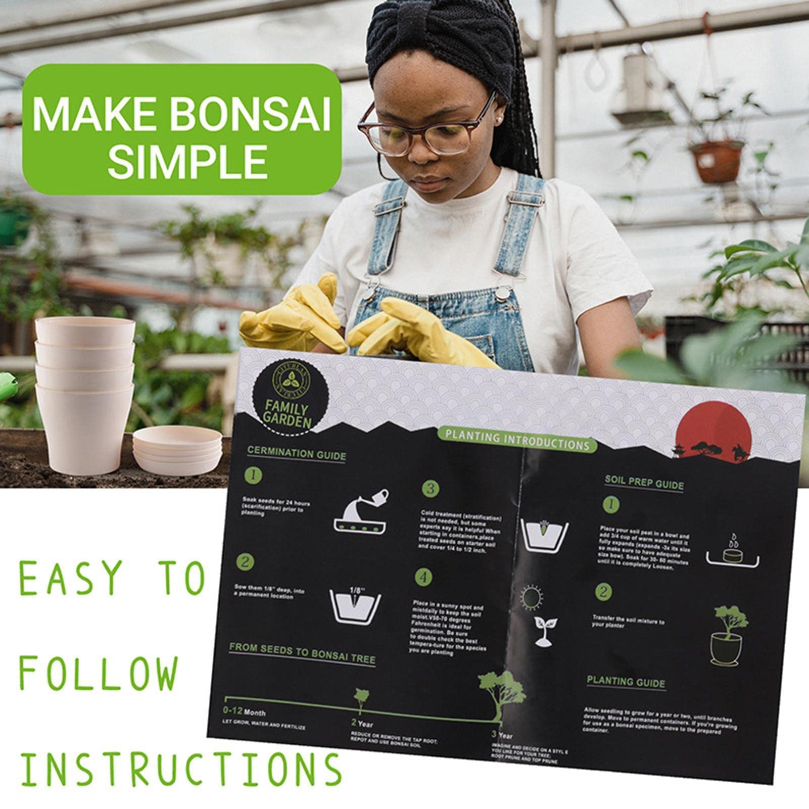 Kit de culture d'herbes de bonsaï, kit de plantation de plantes d'herbe intérieure, kit de croissance du jardinage novice, kit de démarrage en croissance de plante intérieure, DIY Kit de culture de cu