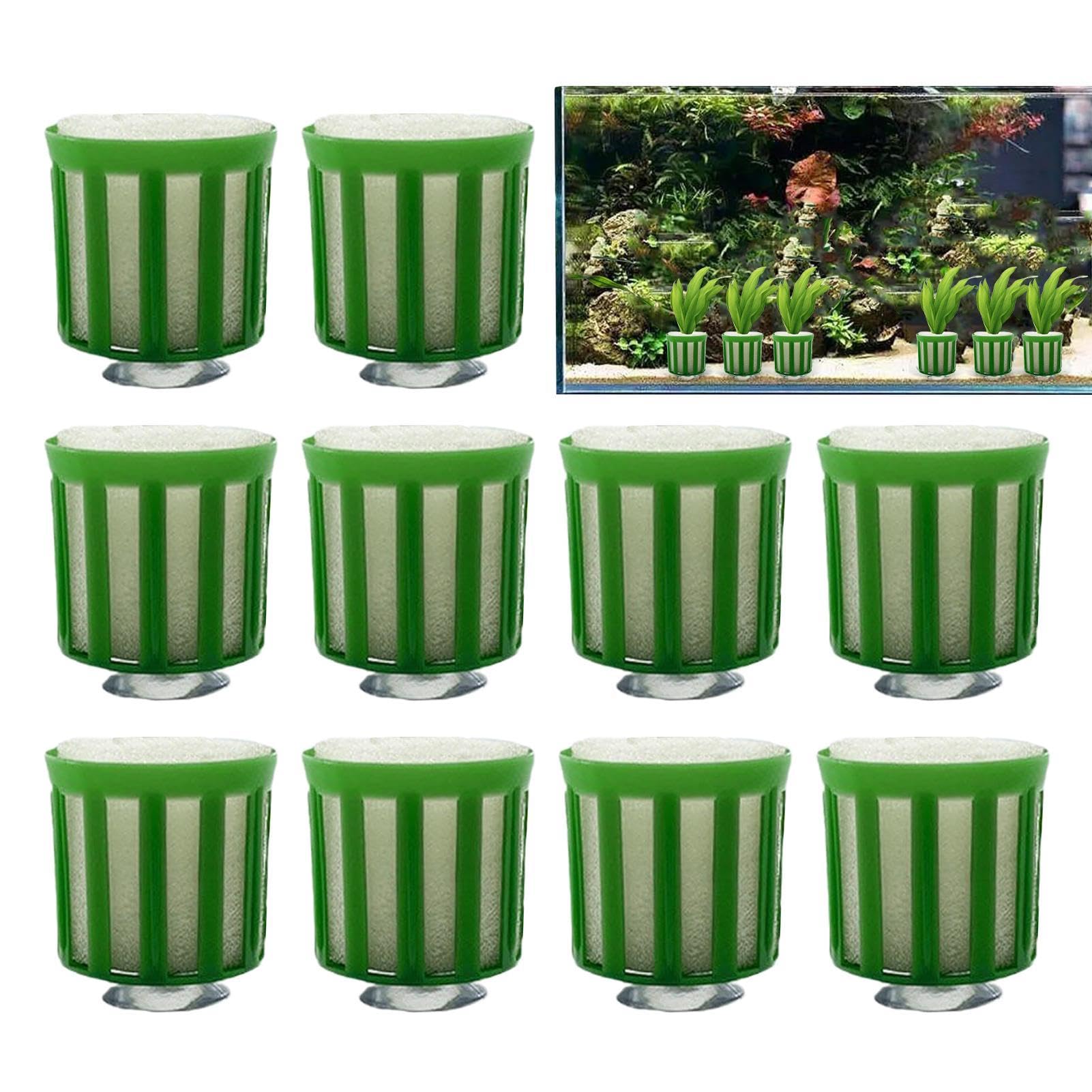 Fixed for Aquatic Plants - 10 Pieces Aquarium Plant Fix Basket Set Aquarium Landscape Decoration | Aquarium Accessories with 1 Basket, 1 Suction Cup, Sponge as Set for Fish Tank, Aquarium